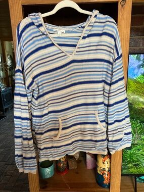 Cato Striped V-Neck Hoodie in Blue and Cream